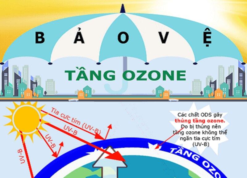 tác hại của lỗ thủng tầng ozon