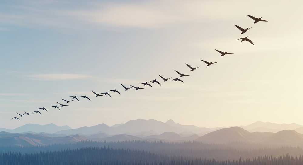 Các yếu tố tự nhiên nào kích hoạt hành trình di cư