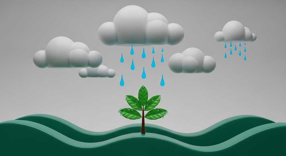 Đặc điểm mùa mưa và chế độ ẩm