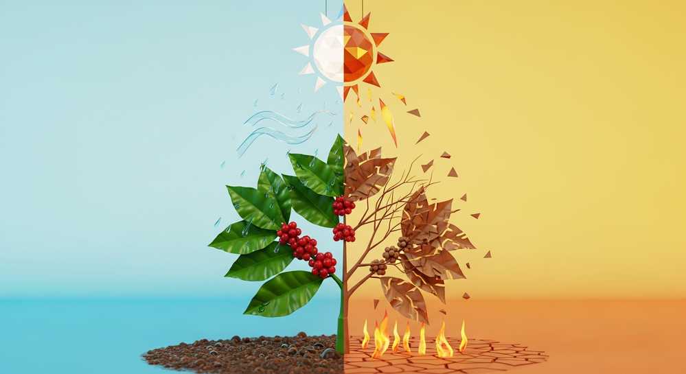 Biến đổi khí hậu và những thách thức mới tại Đắk Nông