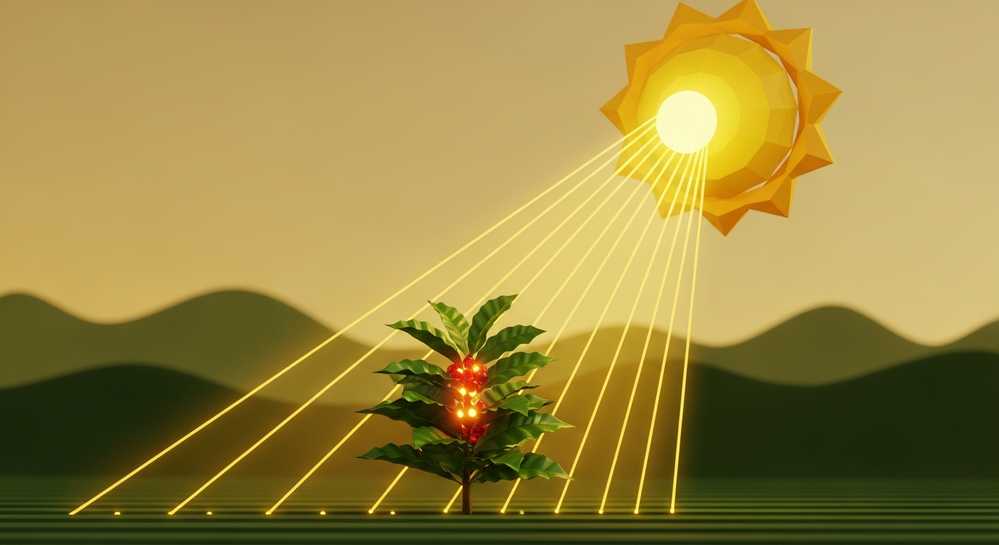 Phân tích chi tiết chế độ nhiệt và bức xạ